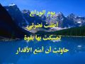 قلبي عشقها