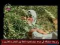 توفيق النمري - ويلي محلاها البنت الريفيه